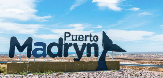 Playas, fauna silvestre y aventura: Descubrí el encanto de Puerto Madryn en verano