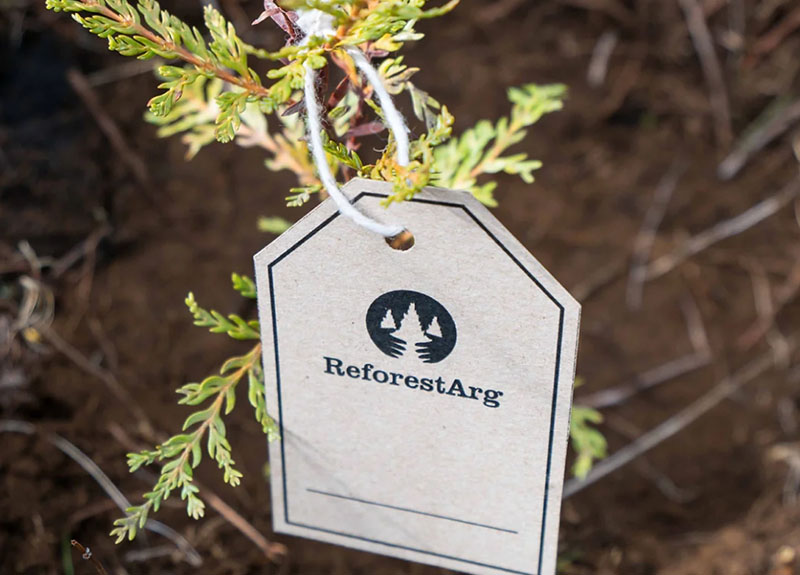 ReforestArg - Memorable Compromiso con el medio ambiente